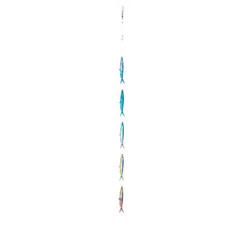 /assets/alt_2/AC6804_6PK.jpg?20250603161000