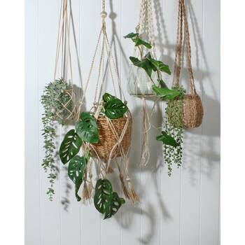 /assets/alt_2/AD0052.jpg?20260209104517