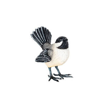 /assets/alt_2/AG-30016_3PK.jpg?20250827161525