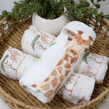 /assets/alt_2/BB-16874.jpg?20250411140334