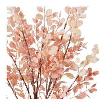 /assets/alt_2/BB.021.DYPK_2PK.jpg?20231219153049