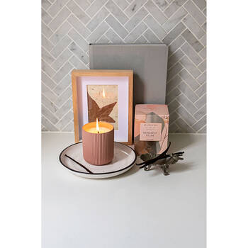 /assets/alt_2/BBC-70.jpg?20250919170322