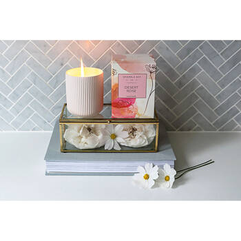 /assets/alt_2/BBC-72.jpg?20250919170847