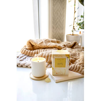 Large View /assets/alt_2/BBC-73_2PK.jpg?20250919160514