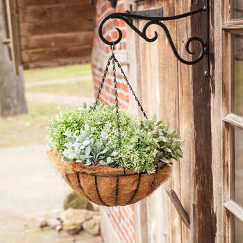 /assets/alt_2/BPH73.jpg?20250704094812