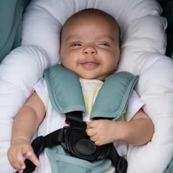 /assets/alt_2/BRORG-IN01.jpg?20230424113025