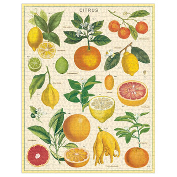 /assets/alt_2/C-PZL-CITRUS.jpg?20220916150258