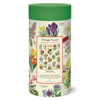 /assets/alt_2/C-PZL-LNGFLR.jpg?20240916123037