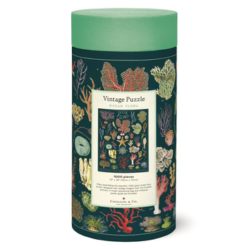 /assets/alt_2/C-PZL-OCNFLR.jpg?20240916123326