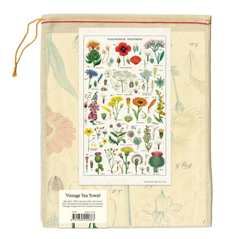 /assets/alt_2/C-TT-WF.jpg?20240917140126