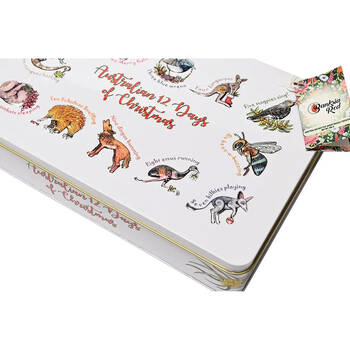 /assets/alt_2/CA-BR-12XM.jpg?20251015160043