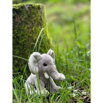 /assets/alt_2/CC23453J_2PK.jpg?20241028153632