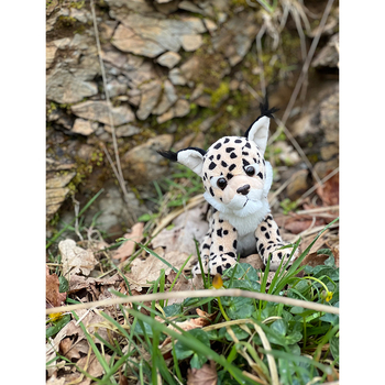 /assets/alt_2/CC23453L_2PK.jpg?20241028160622