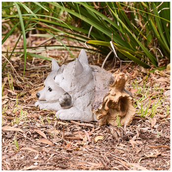 /assets/alt_2/CD2407.jpg?20241202082843