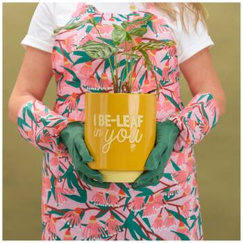 /assets/alt_2/CHW-22401.jpg?20251230161849