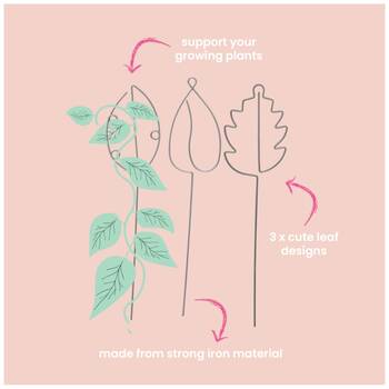 /assets/alt_2/CHW-52072.jpg?20251230161541