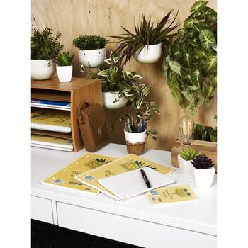 /assets/alt_2/CHW-56083-1_20PK.jpg?20260210160036