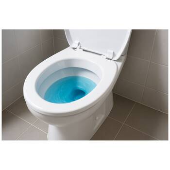 /assets/alt_2/CHW-BLUE-3-12_2PK.jpg?20260108161630