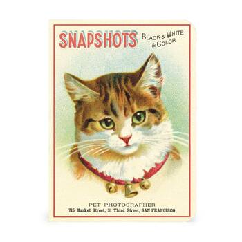 /assets/alt_2/CHW-C-NBCAT-MINI_2PK.jpg?20260730103015