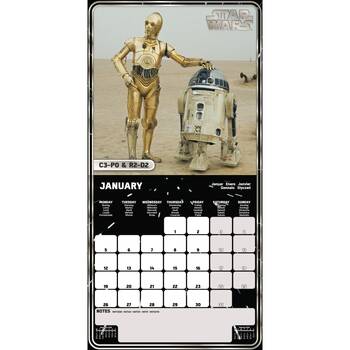 /assets/alt_2/CHW-C2402861.jpg?20260122170226