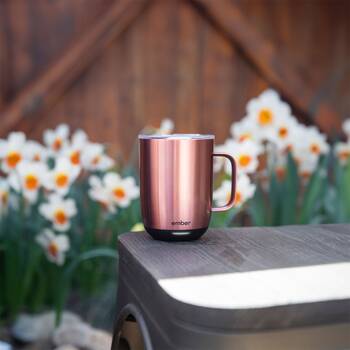 /assets/alt_2/CHW-CMSL1412GL.jpg?20260127150032