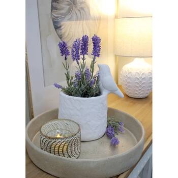 /assets/alt_2/CHW-CP6202-4_2PK.jpg?20260304160048