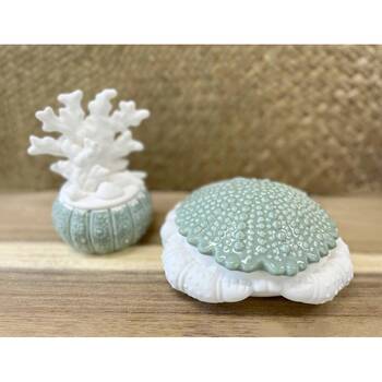 /assets/alt_2/CHW-DE5300-1_2PK.jpg?20260225171534