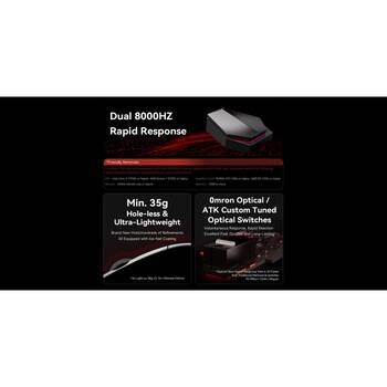 /assets/alt_2/CHW-F1-E-071551.jpg?20260121100059