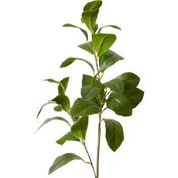 /assets/alt_2/CHW-GS.171.GN_4PK.jpg?20260729103419