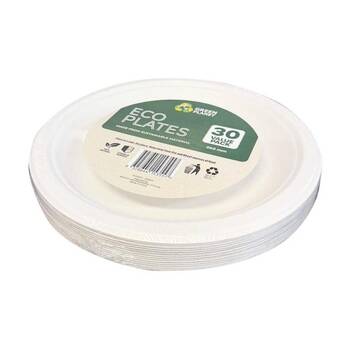 /assets/alt_2/CHW-KI153557_12PK.jpg?20260106162009