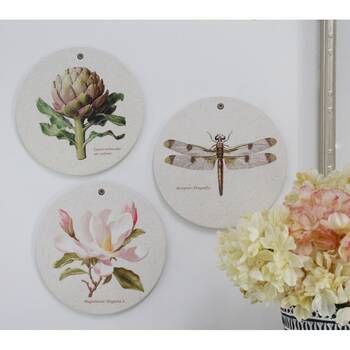 /assets/alt_2/CHW-MA5202-1_6PK.jpg?20260305161555