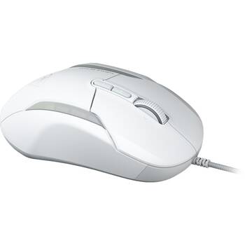 /assets/alt_2/CHW-TBM-1003-15.jpg?20260225120104