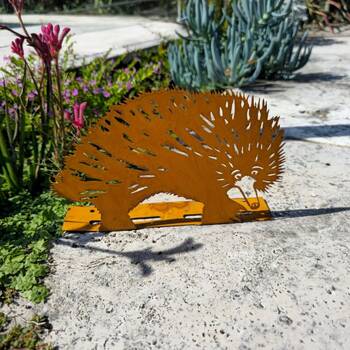 /assets/alt_2/CHW-XJ479_4PK.jpg?20260211132004