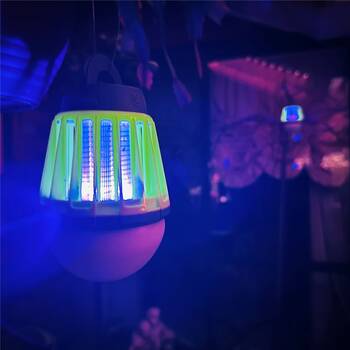 /assets/alt_2/CHW-YS5544.jpg?20260123151542