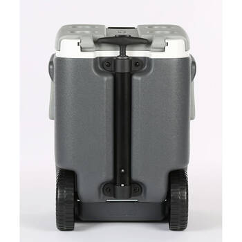 /assets/alt_2/CM2210744.jpg?20250925093258