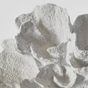 /assets/alt_2/DA874.jpg?20251014105409