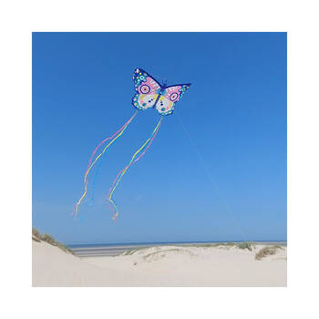 Large View /assets/alt_2/DJ2162.jpg?20241231131910