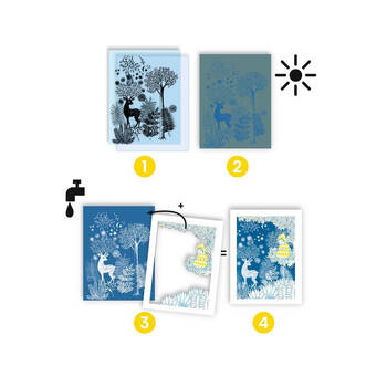 /assets/alt_2/DJ9342.jpg?20250828163158