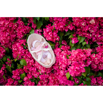 /assets/alt_2/DSL1911.jpg?20241025113006