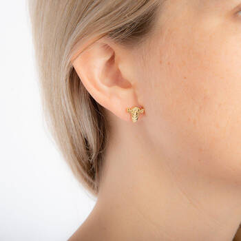 /assets/alt_2/DYE1024.jpg?20250129134800