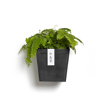 /assets/alt_2/ECO2321DG.jpg?20230717153221