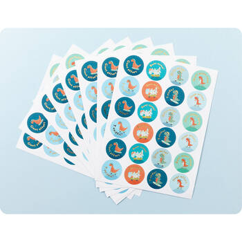 /assets/alt_2/EVTMSRSR_6PK.jpg?20251006165244