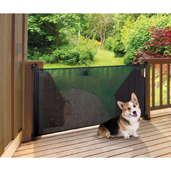 /assets/alt_2/F943_T2C.jpg?20221206182258