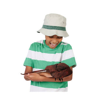 /assets/alt_2/FM3218.jpg?20250102141532