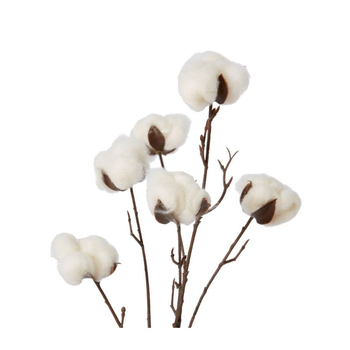 /assets/alt_2/FS.002.WH_3PK.jpg?20231219153032