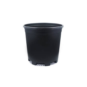 /assets/alt_2/GAR-303670_6PK.jpg?20250220155613