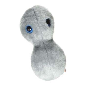 /assets/alt_2/GM-0150_2PK.jpg?20240718141518