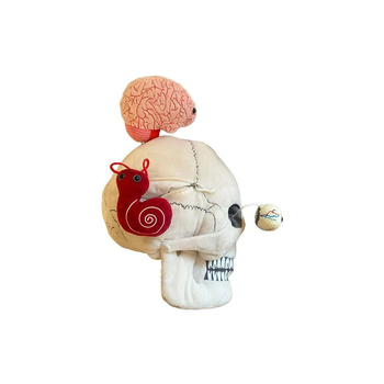 /assets/alt_2/GM-3027.jpg?20240718135357