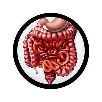 /assets/alt_2/GM-4024.jpg?20240718134600