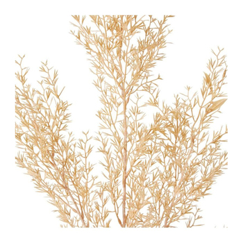 /assets/alt_2/GS.063.NT_3PK.jpg?20231219153454